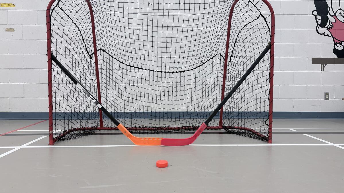 Dormick Park Morning Hockey Drop In